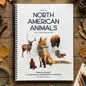 Puede incluir: Un libro encuadernado en espiral titulado "North American Animals" con ilustraciones de un ciervo, un zorro, un oso, una ardilla y un castor. El libro es un manual de ciencias naturales para estudiantes de K-4. La portada es blanca con texto negro e ilustraciones de animales.