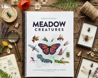 Simple Studies: Meadow Creatures