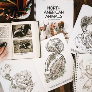 Simple Studies: Learning North American Animals with Thornton Burgess