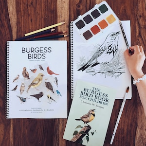 Burgess Birds: A Simple Studies Guide