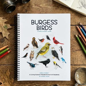 Peut inclure: Un ensemble de trois tasses en céramique avec un glaçage moucheté de couleur crème. Chaque tasse présente un motif peint à la main différent : une feuille bleue et verte, une fleur jaune et une baie rouge. Les tasses ont un design simple et moderne.