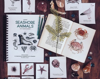 Simple Studies: Learning Seashore Animals with Thornton Burgess