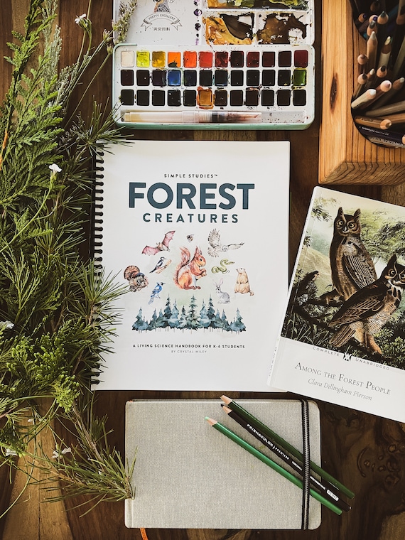 Simple Studies: Forest Creatures - Etsy