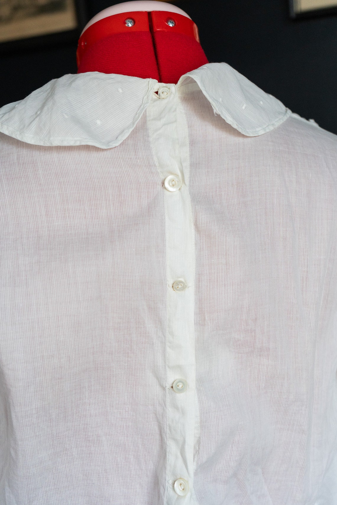 SemenCoicis – Vintage Butterfly Embroidered Blouse with Peter Pan Collar