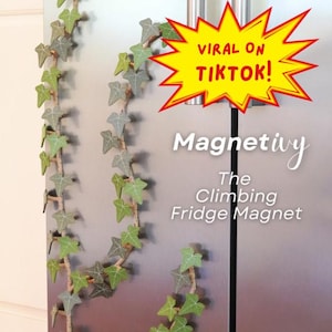 Magnet Ivy - Moisture Resistant - Extra Tough - Home Decor & Magnets