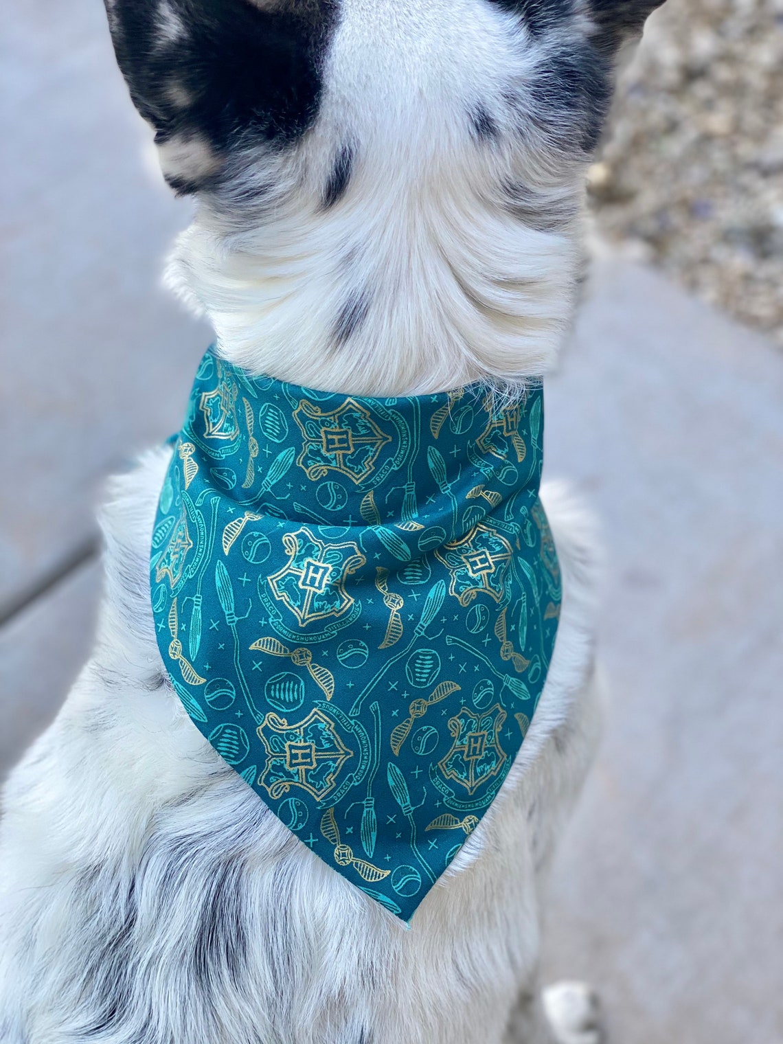 Harry Potter Bandana/ Pet Bandana/ Dog Bandana/ Etsy