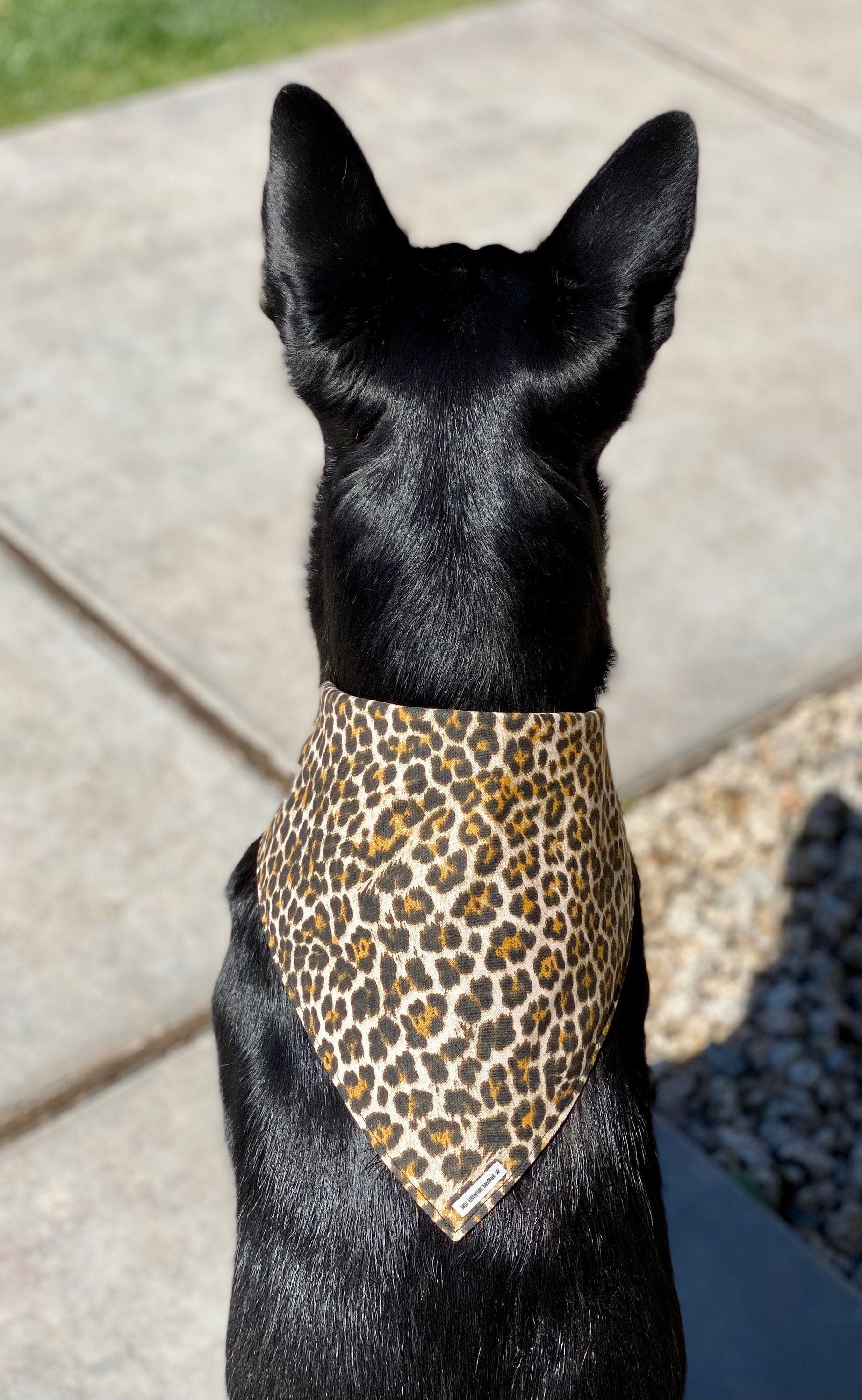 Cheetah Bandana/ Leopard Bandana/ Fall Dog Bandana/ Dog Etsy
