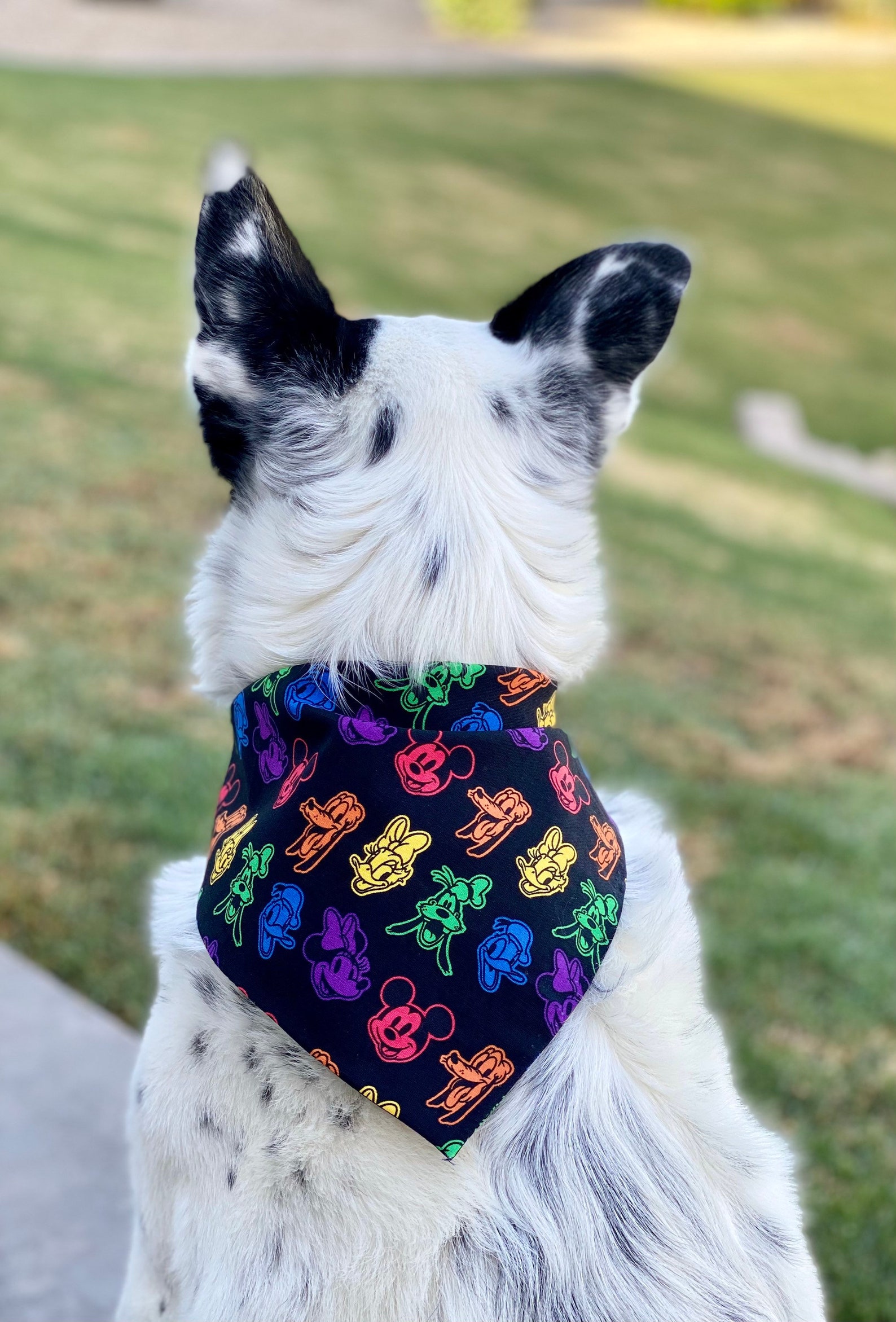 Disney Pride Bandana/ Disney Bandana/ Pride Bandana/ Pet Etsy