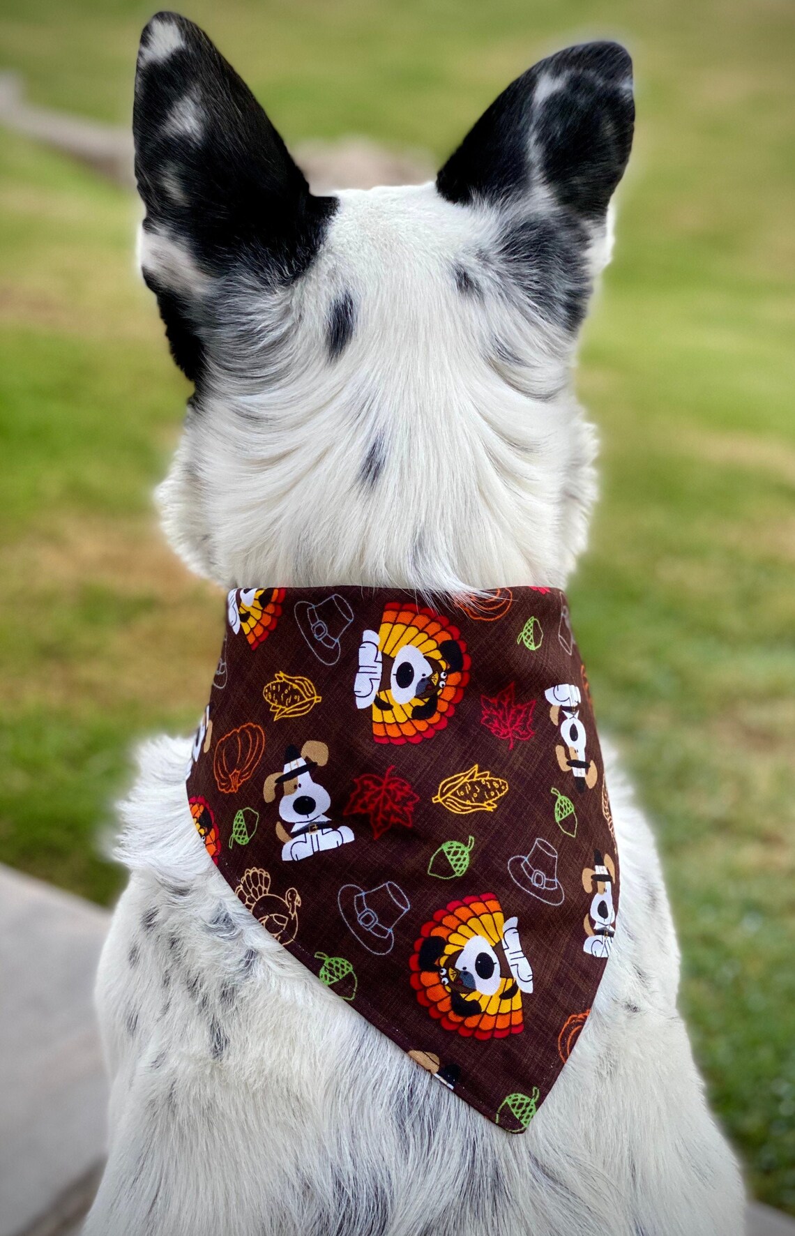 Turkey Dog Bandana/ Thanksgiving Bandana/ Dog Bandana/ Pet Etsy