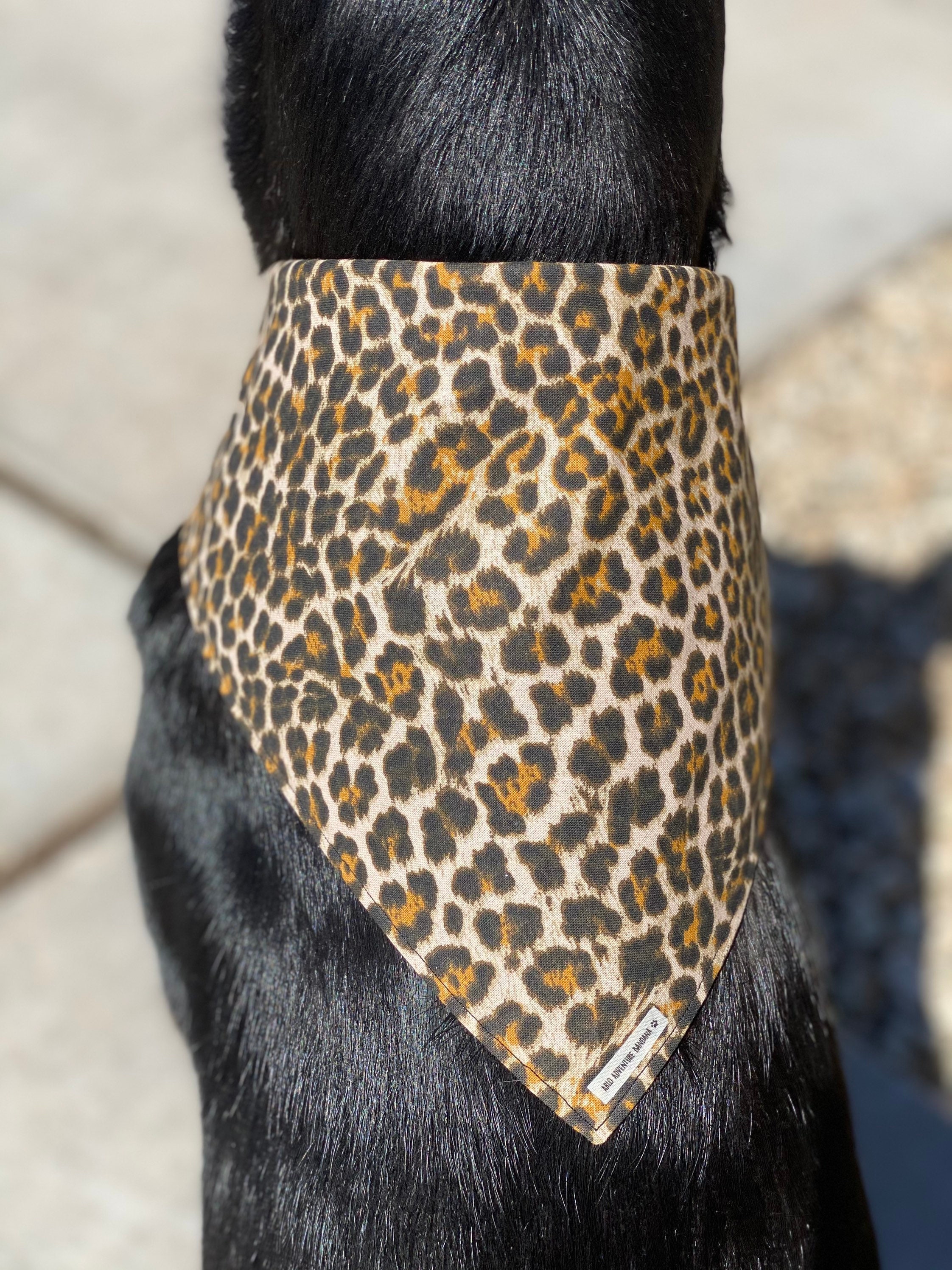 Cheetah Bandana/ Leopard Bandana/ Fall Dog Bandana/ Dog Etsy