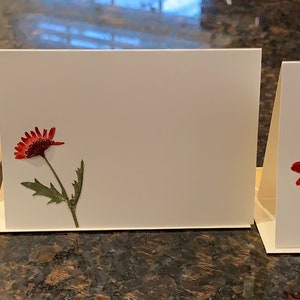 Set di biglietti per appunti di fiori secchi vuoti