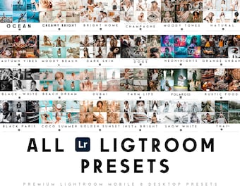 350+ Lightroom Mobile & Desktop Presets | Blogger Preset für Influencer | Reise-, Sommer- und Outdoor-Fotofilter-Bundle
