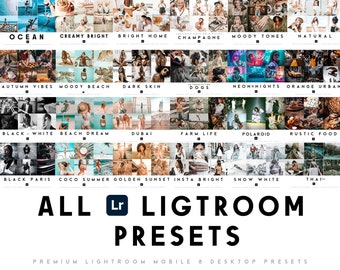 350+ Lightroom Mobile & Desktop Presets | Blogger Preset for Influencer | Travel, Summer and Outdoor Photo Filter Bundle