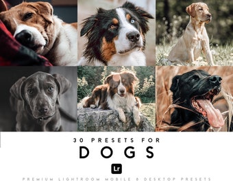 30 Dog Presets, Cats and Animals | Preset Lightroom Mobile & Desktop, Indoor, Outdoor Pets Filter, Lightroom Mobile Bundle Instagram