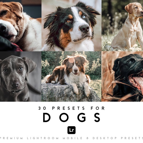 30 ajustes preestablecidos para perros, gatos y animales / Lightroom preestablecido móvil y de escritorio, filtro de mascotas para interiores y exteriores, Lightroom Mobile Bundle Instagram