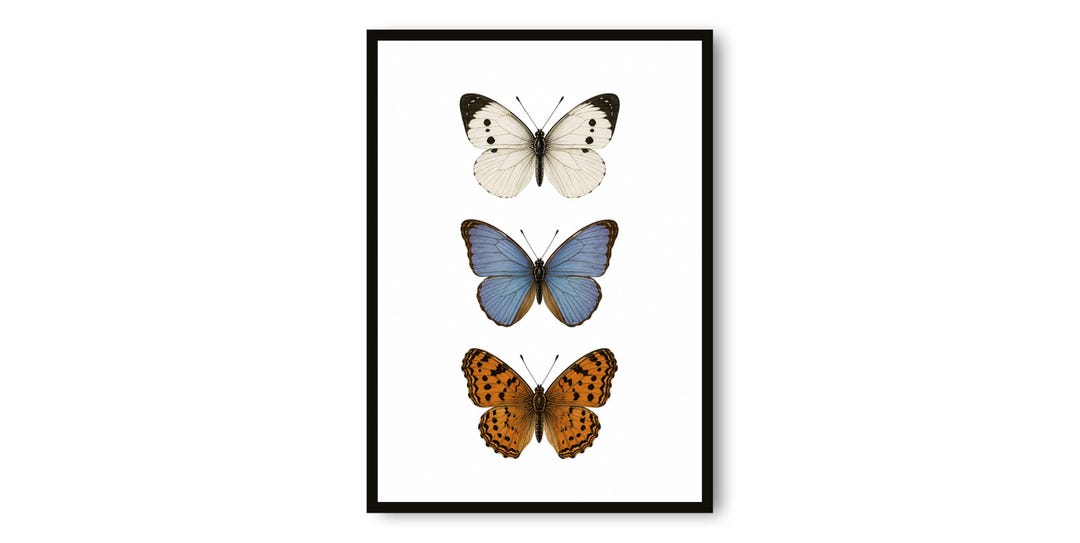 Vintage Butterfly Print | Minimalist Nature Wall Art | Botanical ...
