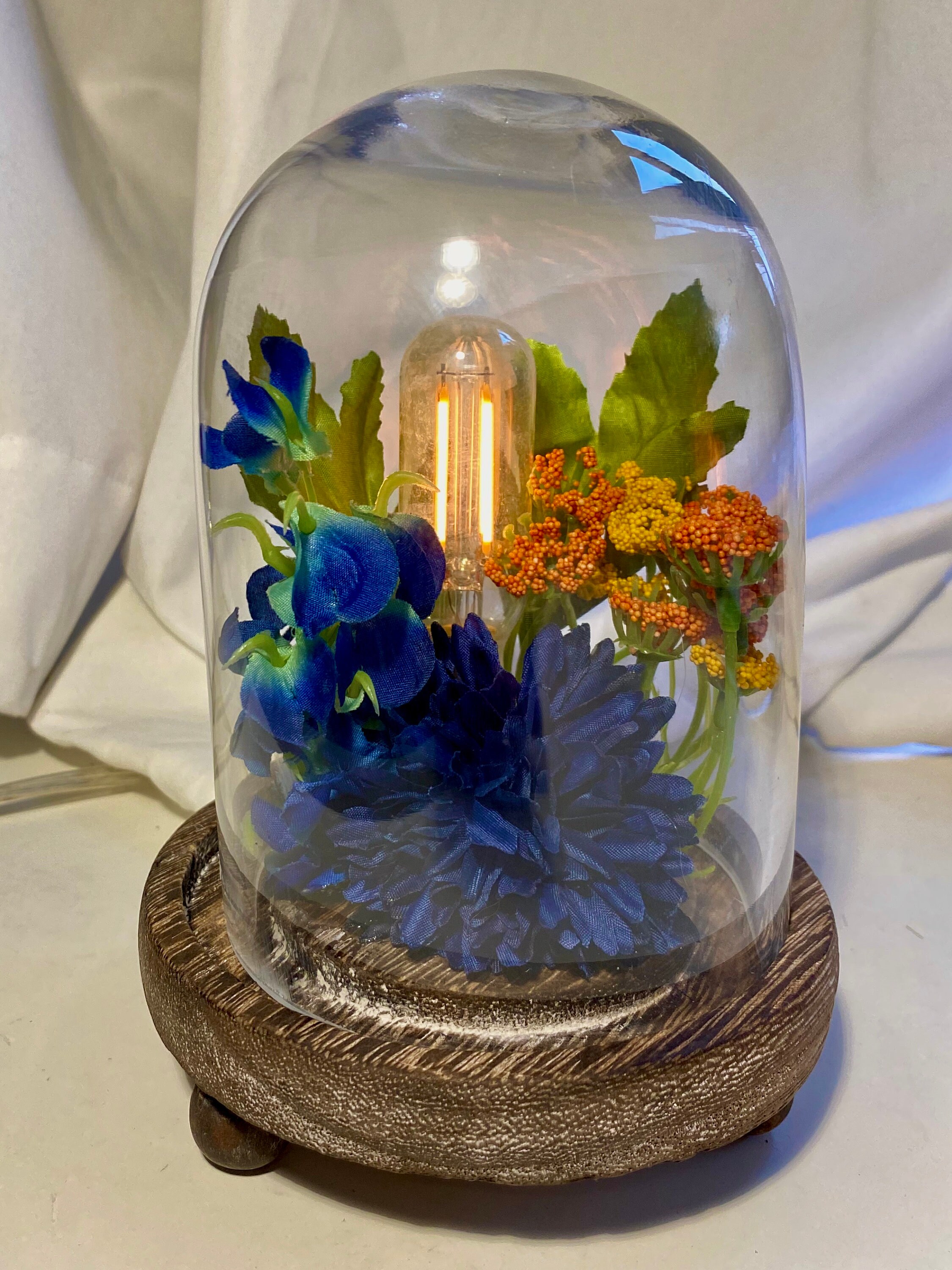 Custom Terrarium Night Light Etsy