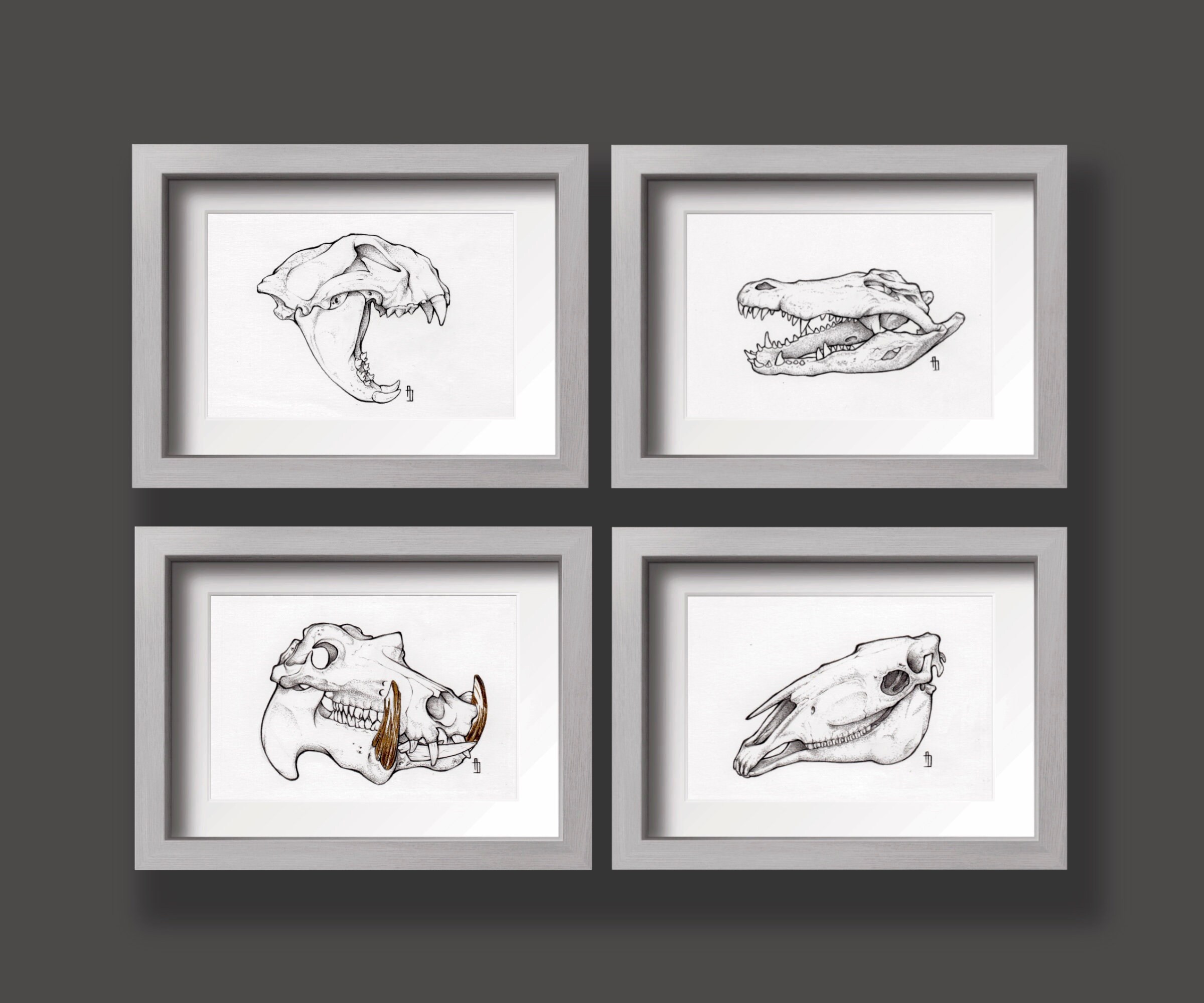 Metamorphosis Drawings Ideas