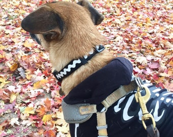 rick rack puppy collar