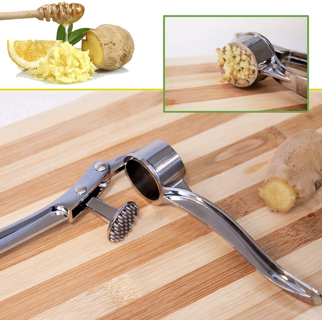 304 Stainless Steel Garlic Press Kitchen Supplies Garlic Press Household  Manual Kitchen Ginger Garlic Masher