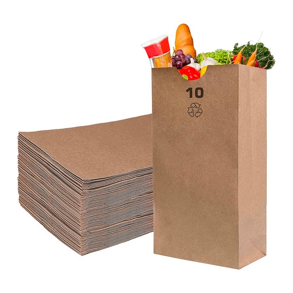 Paper Lunch Bags 10 Lb White Paper Bags 10LB Capacity - Kraft White Paper  Bags, Bakery Bags, Candy Bags, Lunch Bags, Grocery Bags, Craft Bags - #10