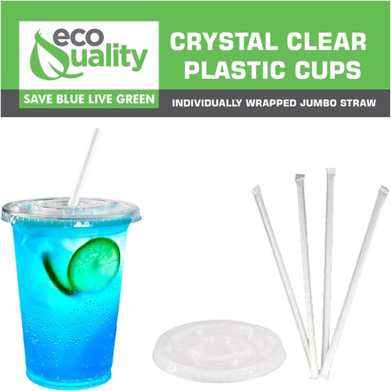 16oz Disposable Pet Clear Plastic Smoothie Cups with Clear Flat