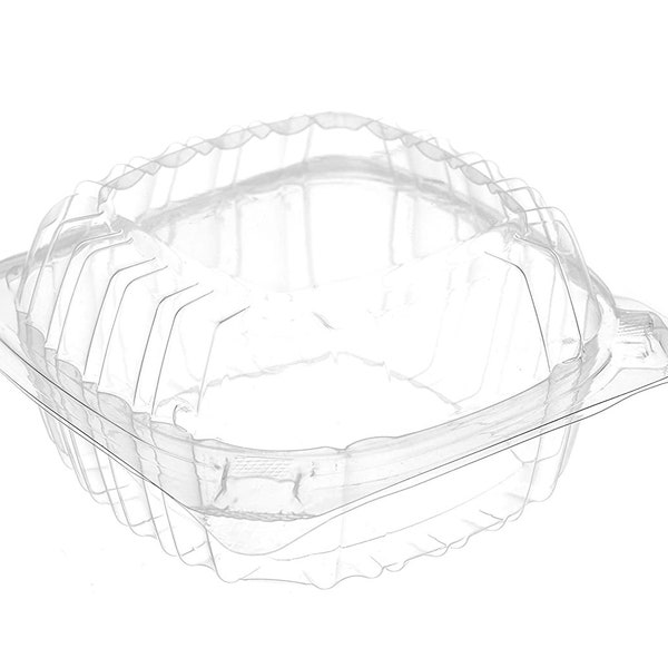 Shell Container - Etsy