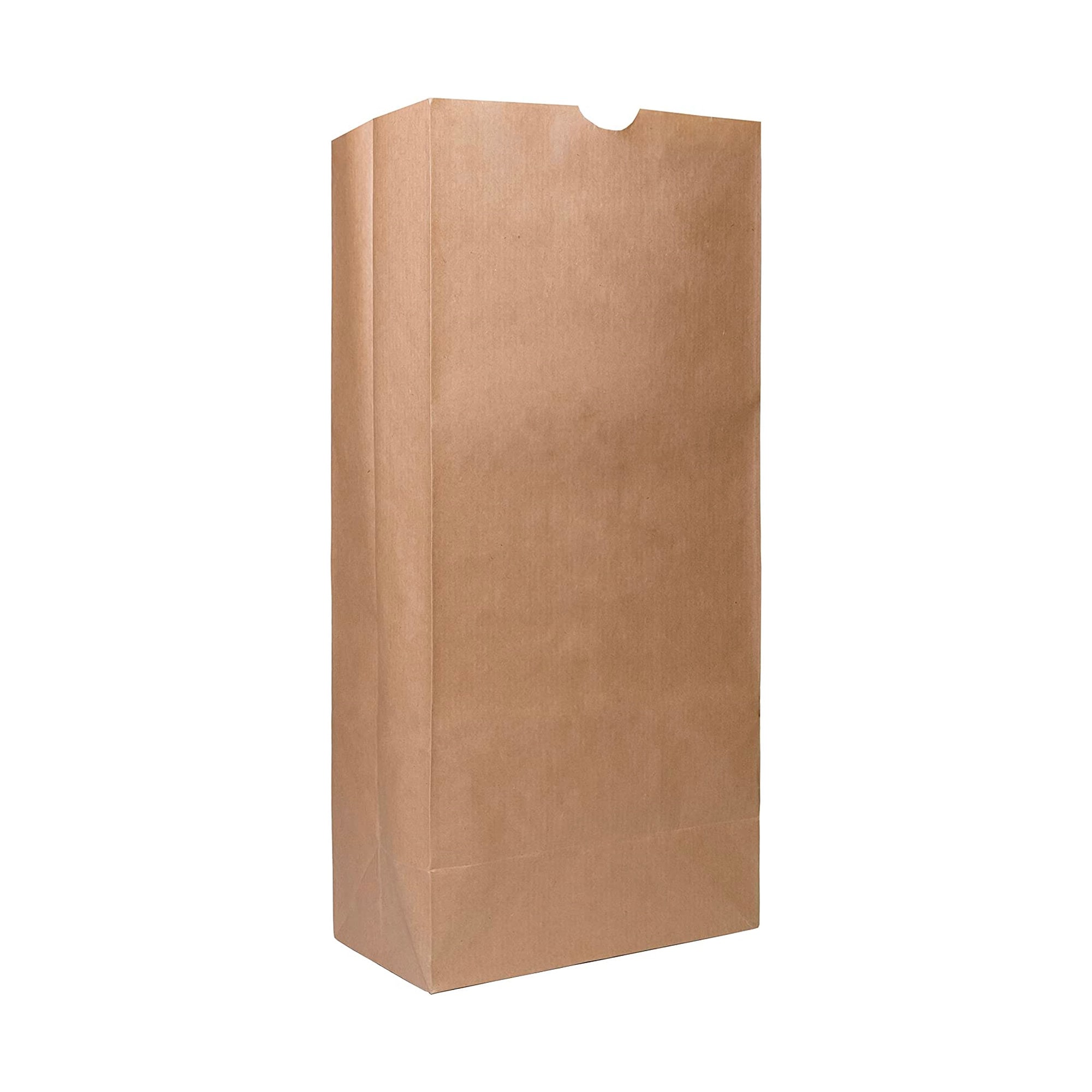 Paper Lunch Bags 25 Lb White Paper Bags 25LB Capacity - Kraft