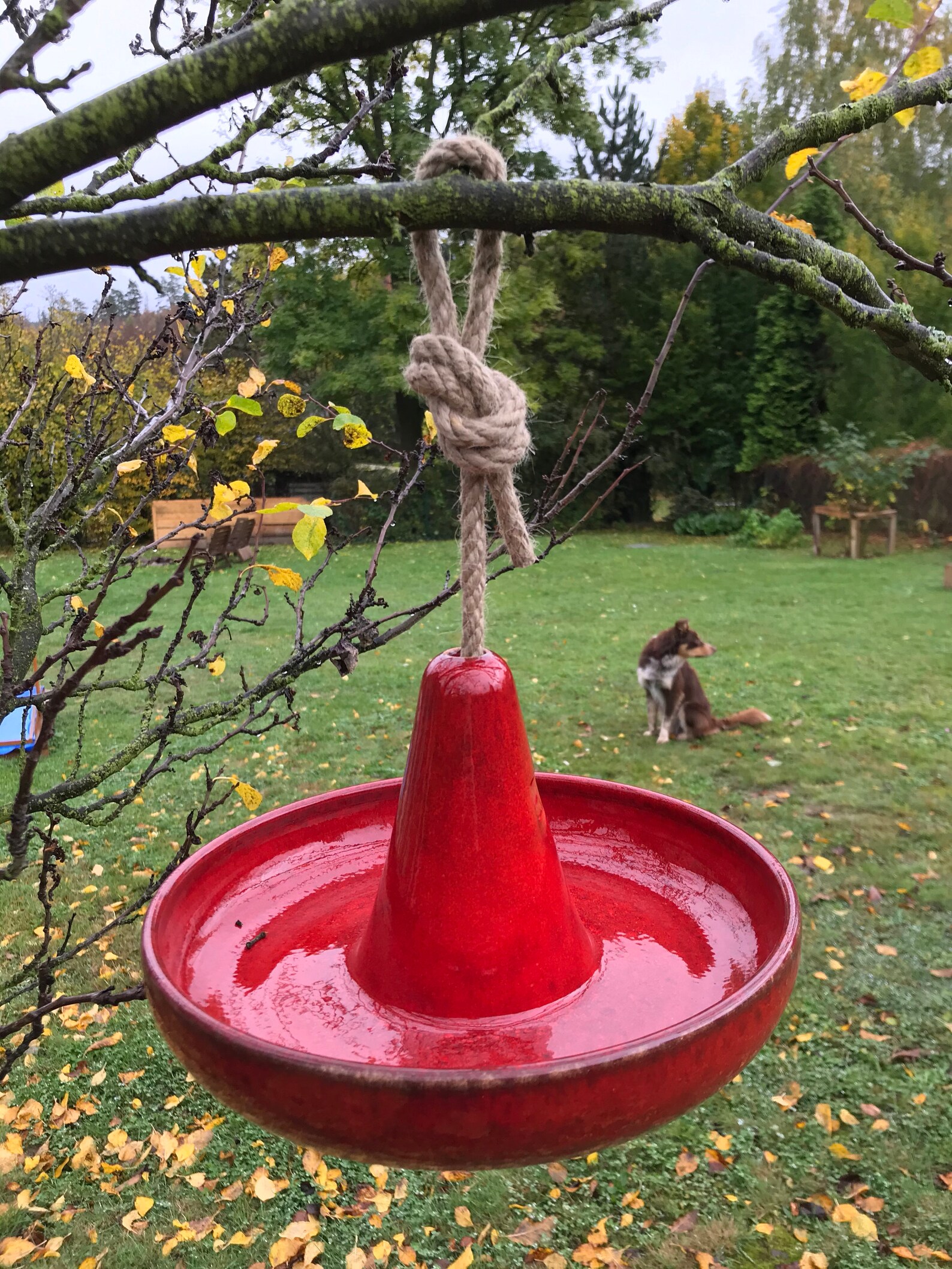 Handmade Ceramic Pottery Bowl Birds Feeder Etsy