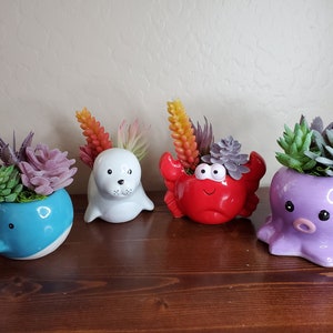 Ocean Animal Planter with Artificial Succulent