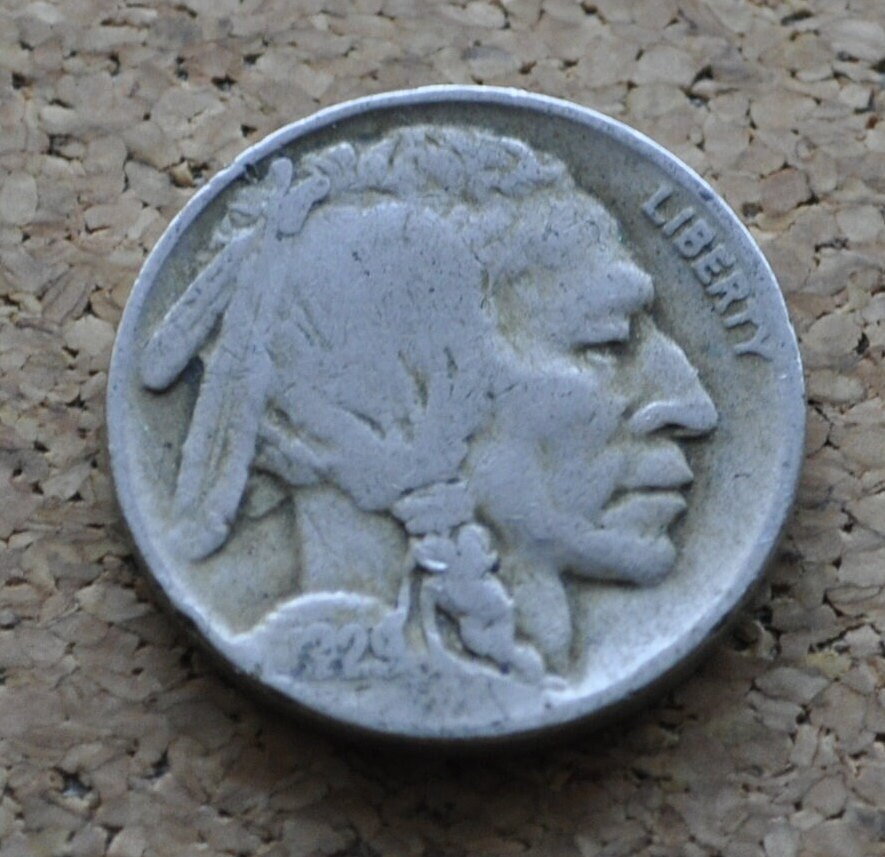 Buffalo Nickel Lot – 10 Coins + 1 Bonus – Full Dates 1920s & 1930s P D S, No Culls