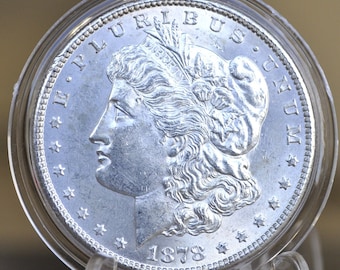 1878 Morgan Silver Dollar - Seven Feathers - Choose by Grade - 1878 Seven Feathers - 7 Feather Design 1878 P Morgan Silver