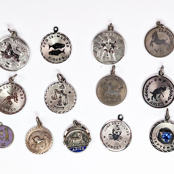 Dijes de astrología/zodiaco de plata de ley - ¡Elige el que más te guste! - Plata de ley sellada y probada - Dijes de astrología y zodíaco del mes de nacimiento