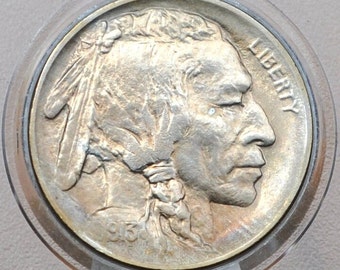 1913年Sバッファローニッケル - タイプ1 - 盛り上がったマウンド付き