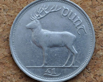1990年代アイルランド1ポンド硬貨 - 良好な状態 - 1990年1ポンド硬貨