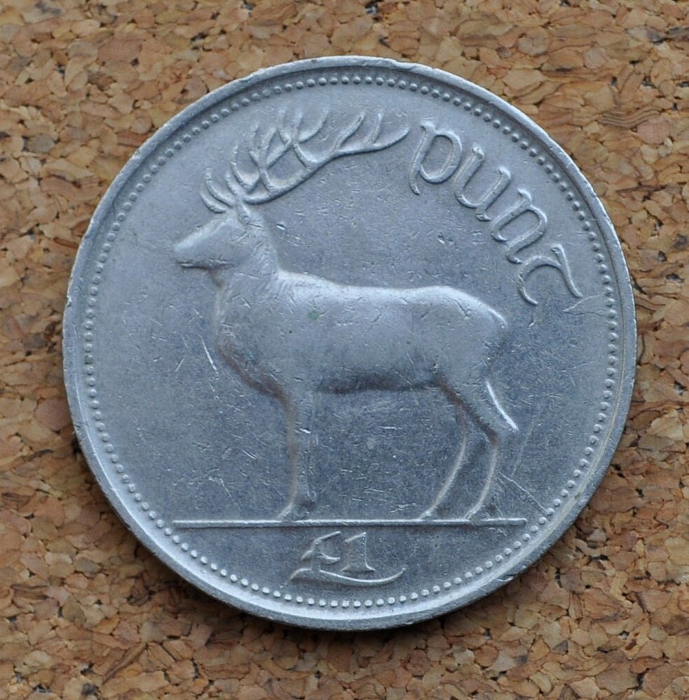 1990年代アイルランド1ポンド硬貨 - 良好な状態 - 1990年1ポンド硬貨
