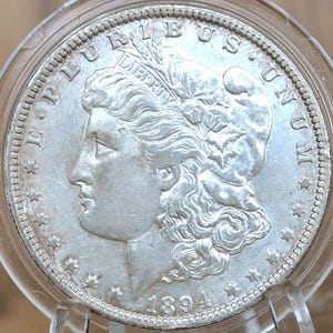 1895 morgan silver dollar - Etsy 日本
