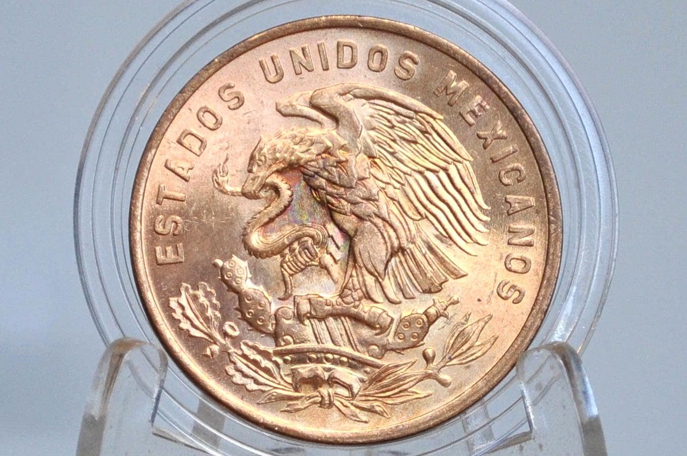 Mexico 100 pesos - Etsy 日本