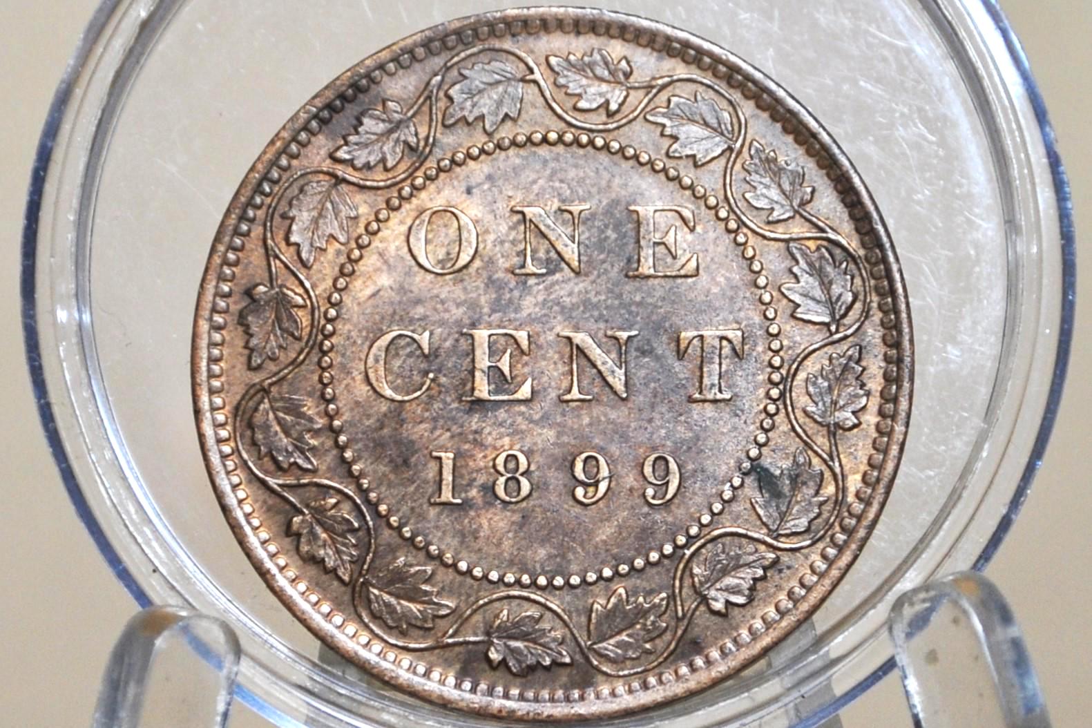 1899年カナダ1セント - XF（極めて良好）状態 - ビクトリア女王 - 1