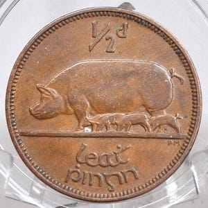 1920s, 30s, 40s, and 50s Irish Half Penny Coin - Great Conditions - Pig Design - 10 Pence Coins Ireland - Collectible Irish Coins