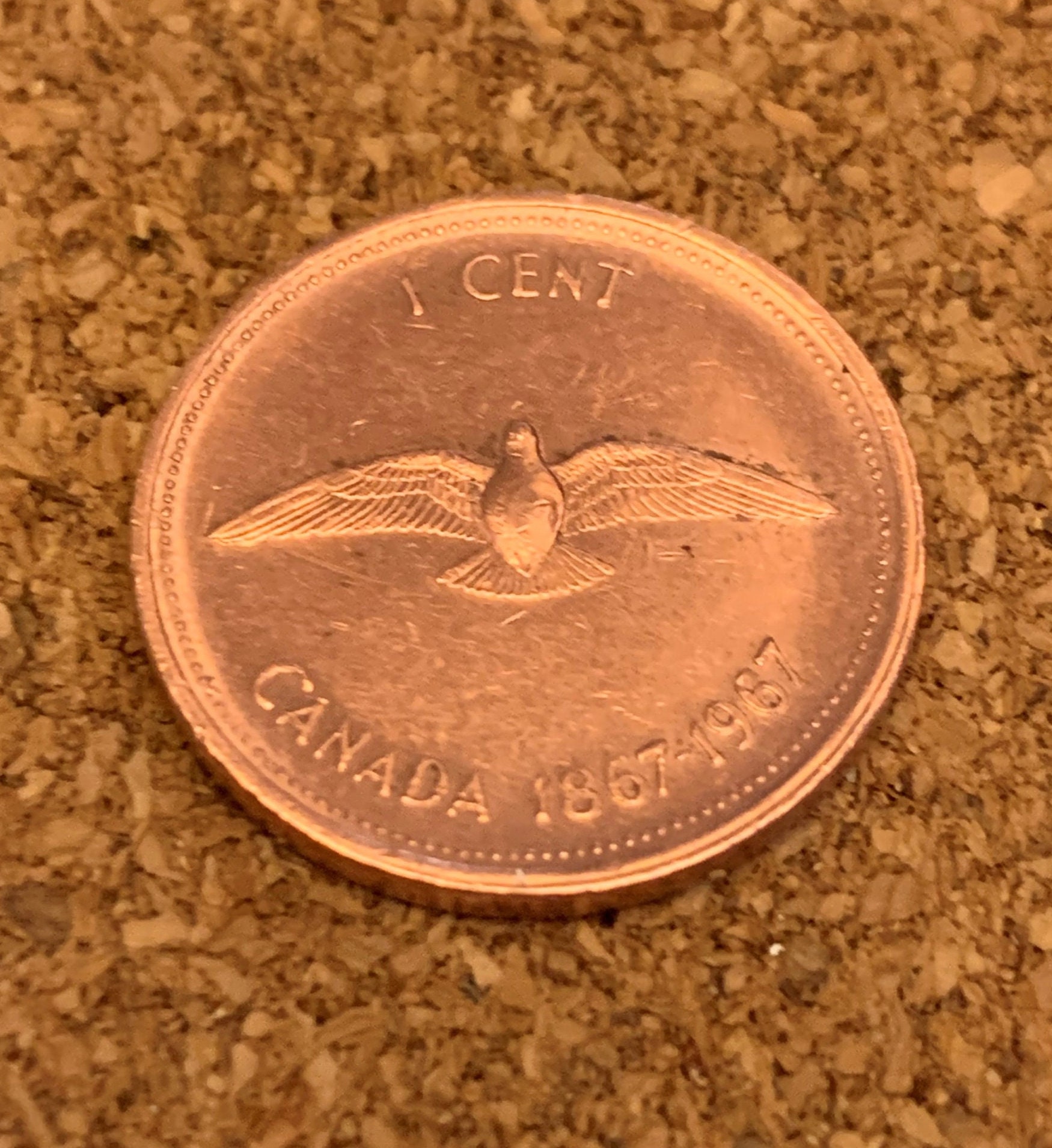 1967 Canadian Cent - Excellent Condition - Commemorative 1967 Canadian Cent - Excellent Condition - Commemorative
