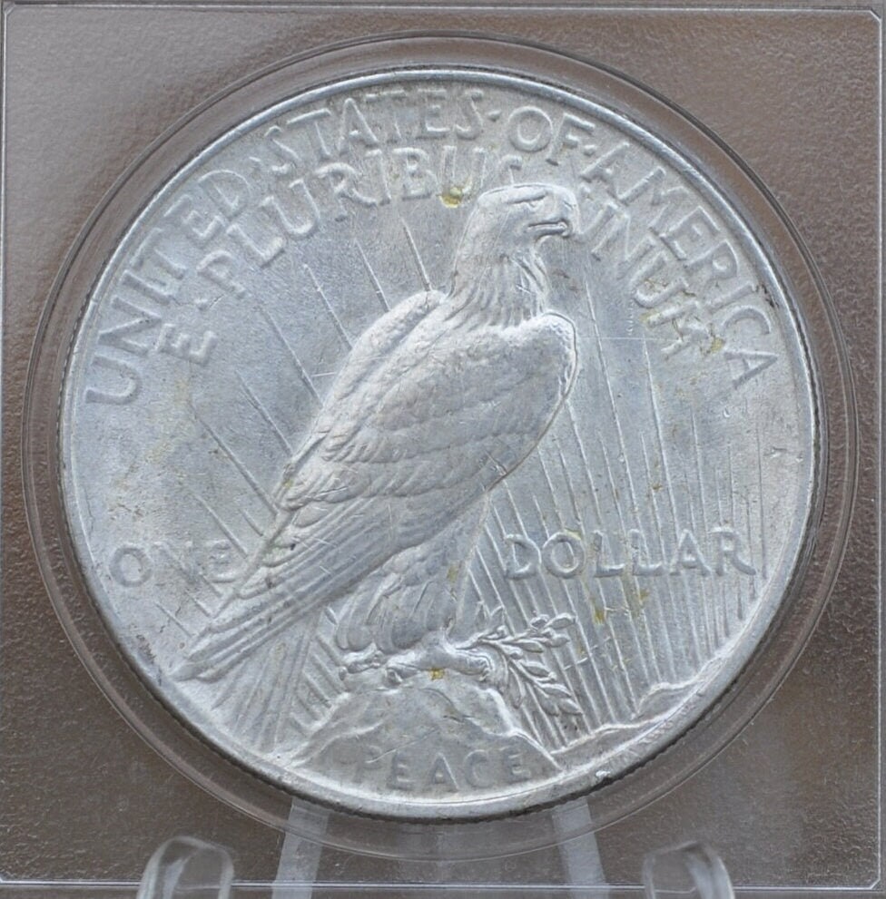 1924年 ピース シルバー ダラー - グレードで選ぶ XF-MS63 - 1924年 P