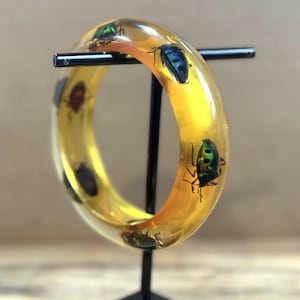 Pode incluir: Uma pulseira de bracelete transparente, cor âmbar, com besouros iridescentes embutidos. Os insetos são de várias cores, incluindo verde, azul e vermelho. A pulseira é exibida em um suporte preto sobre um fundo neutro.