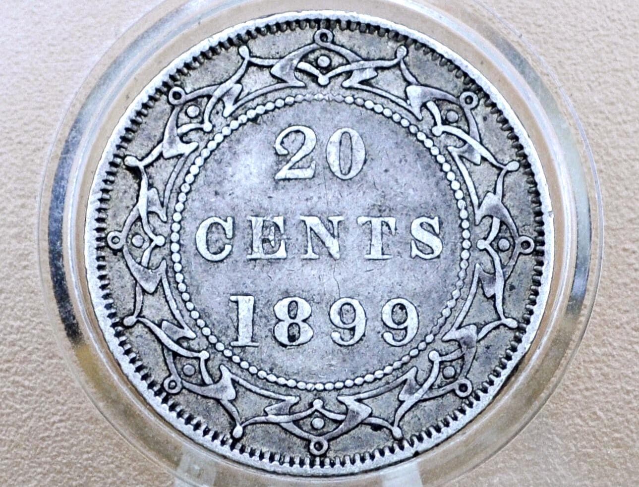1899年ニューファンドランド20セント硬貨 - 極美品（XF）グレード/状態