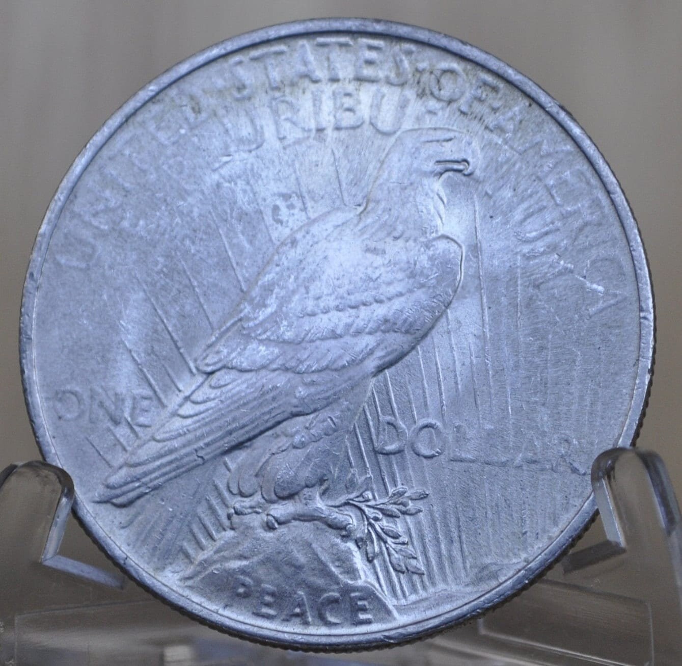 1924年 ピース シルバー ダラー - グレードで選ぶ XF-MS63 - 1924年 P