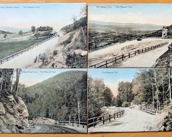 Lot of 4 1920s Handcolored Mohawk Trail Massachusetts Postcards - Albertype Co. - Antique Hand Colored Mohawk Trail MA Postcards