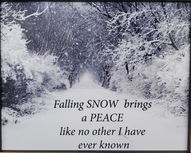 Falling snow brings a Peace like no other I have ever image 1