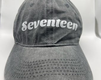 SEVENTEEN follow again 仁川 ball cap seventeen FOLLOW CONCERT BALL CAP HAT NEW | eBay