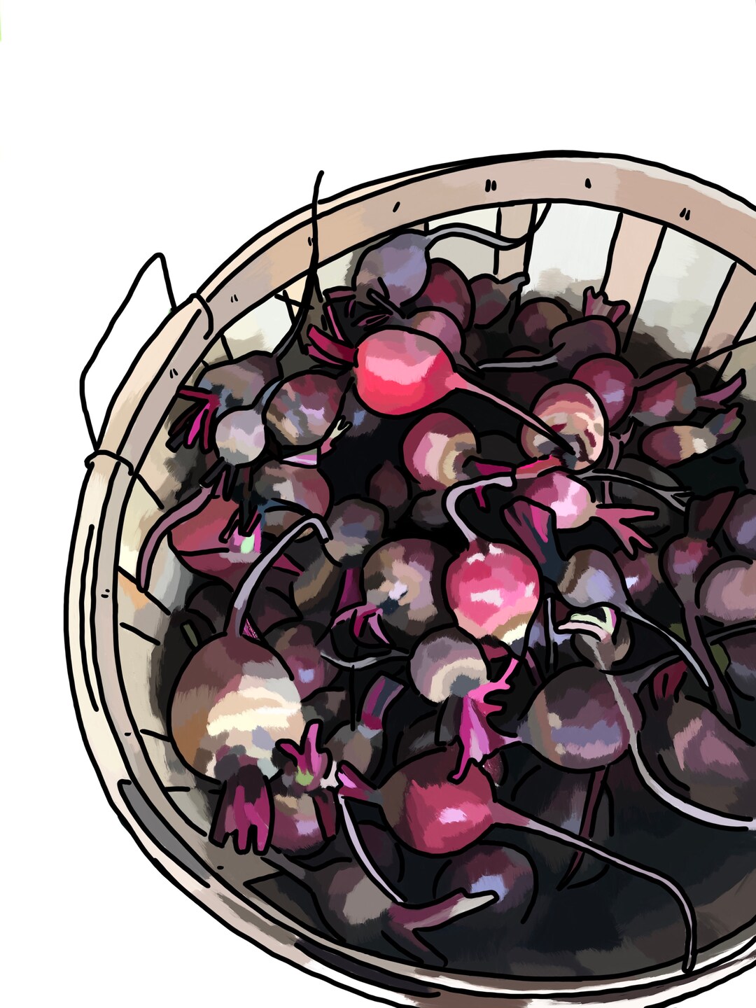 Beets Print - Etsy
