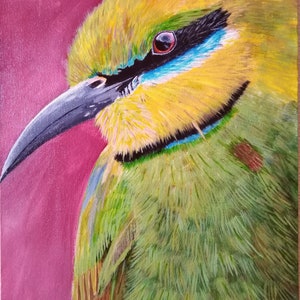 Bee-eater bird